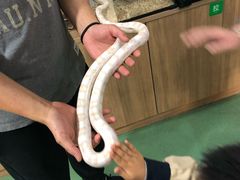 -藦茜花园宠物主题亲子互动体验馆(国顺东路店)