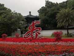 -荔湾湖公园