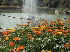 -武汉紫薇都市田园