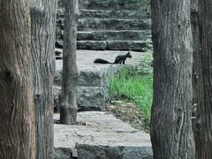 -青州市云门山风景区
