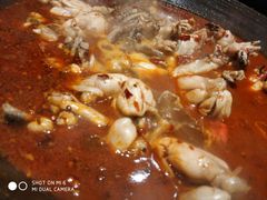 -老天桥蛙炉火锅(姑苏总店)