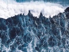 -贝林大翅鲸简餐厅(国家海洋博物馆店)