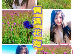 -五女峰国家森林公园
