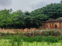 -南昌动物园