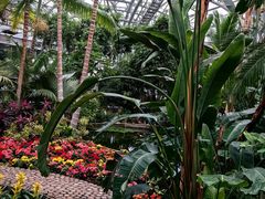 -北京植物园-展览温室