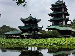 -桂湖森林公园
