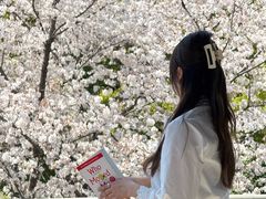 -IKEA宜家家居(南京商场)