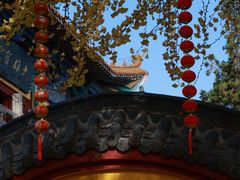 -云龙山