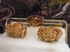 -雍容荟帝王蟹活龙虾展台自助(IFS黑金店)