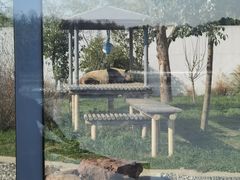 -苏州太湖国家湿地公园