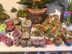 -爱尚花坊(大林路店)