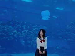 -南昌融创海世界