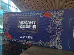 -合肥大剧院