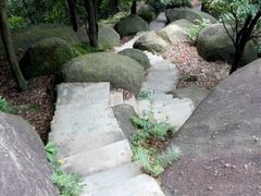 -火炉山森林公园