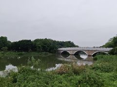 -海珠湖公园