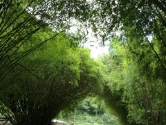-清远鱼水旅游风景度假区