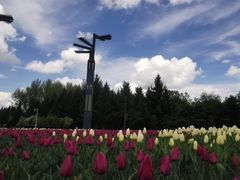 -长春公园(普阳街道)