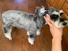 -多卡布奇宠物生活馆(上林世家店)