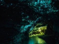 -怀托摩萤火虫洞