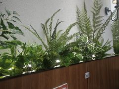 -小艺烧烤(曲江店)