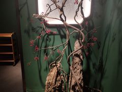 -掌柜的店·河南菜(日月光店)