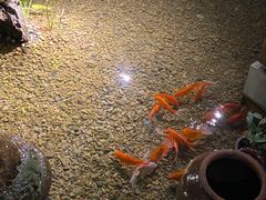 -几荷·恰似故人来(秀水广场店)
