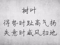 -上海市第七人民医院