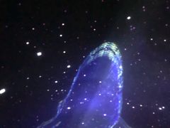 -大连圣亚海洋世界