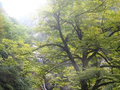 -大明山自然探索公园