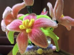 -海底捞火锅(高科广场店)