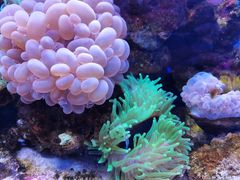 -多彩贵州城极地海洋世界