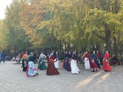 -玲珑塔公园
