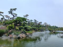 -罗红摄影艺术馆