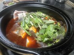-老杨砂锅鱼庄