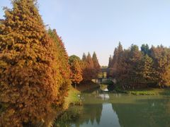 -尚贤河湿地