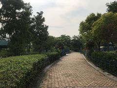 -上海滴水湖皇冠假日酒店