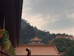 -深圳仙湖植物园