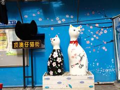 -猫咪博物馆(顶澳仔猫街店)