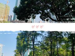 -西北湖绿化广场