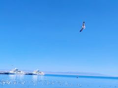 -青海湖二郎剑景区