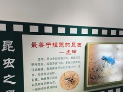 -上海昆虫博物馆
