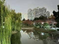 -堤角公园
