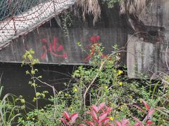 -千岛湖东南湖区