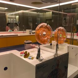 点击看大图 -金芙美月子中心(财富别墅店)