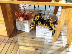 -肆兮眼镜·蔡司·徕卡战略合作店(大坪店)