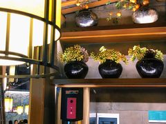 -首秀·四川料理(星耀101店)