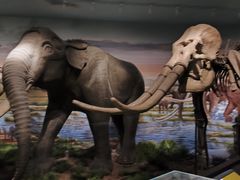 -湖南省地质博物馆