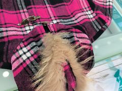 -福奈特洗衣·洗鞋·奢侈品护理(虬江路店)