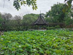 -上海醉白池公园