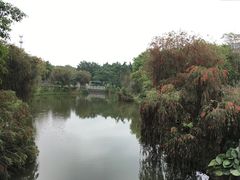 -黄埔古港